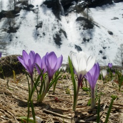 Conference 2 fevrier 2022